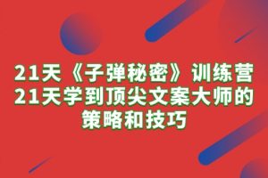 （10209期）21天《子弹秘密》训练营，21天学到顶尖文案大师的策略和技巧