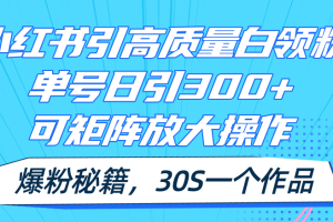 (11692期)小红书引高质量白领粉,单号日引300+,可放大操作,爆粉秘籍!30s一个作品