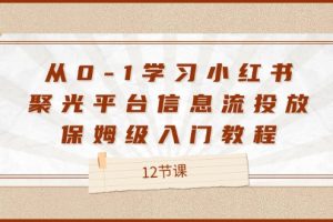 (12020期)从0-1学习小红书 聚光平台信息流投放,保姆级入门教程(12节课)