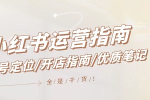 (12042期)小红书运营指南,账号定位/开店指南/优质笔记/没有套路,全是经验