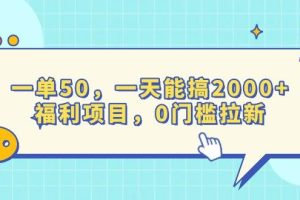 （13812期）一单50，一天能搞2000+，福利项目，0门槛拉新