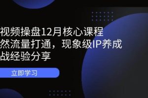 (14447期)短视频操盘12月核心课程:自然流量打通,现象级IP养成,实战经验分享