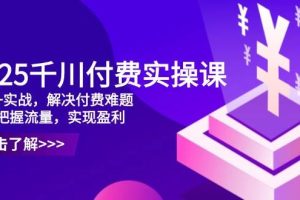 (14533期)2025千川付费实操课,理论+实战,解决付费难题,精准把握流量,实现盈利