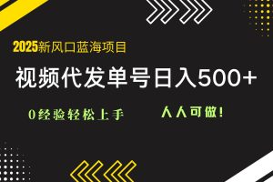 （14749期）2025视频代发蓝海项目：0经验轻松上手，单号日入500+，人人可做！