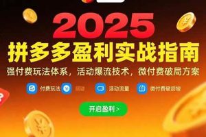 （15357期）拼多多盈利实战指南，强付费玩法，活动爆流技术，微付费破局方案(更新7月)