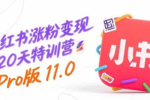 （15432期）小红书涨粉变现120天特训营Pro版11.0：从0到1掌握平台运营,内容制作和变现