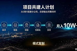 （20037期）做项目被割了100w。半年翻身。 合伙人月入10W的收入计划